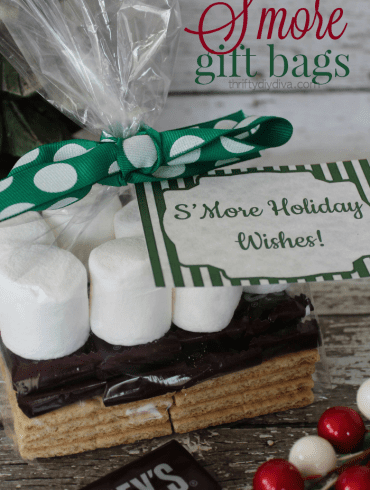 Smore Gift Bags w/ free printable