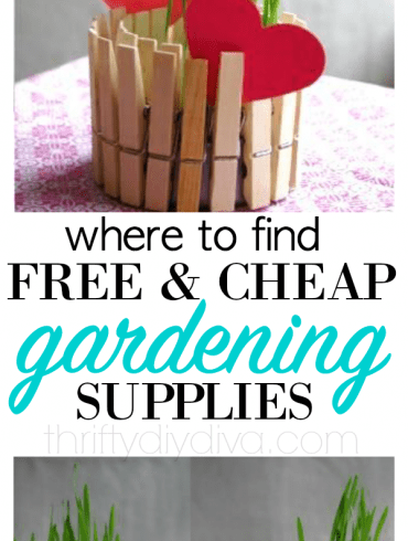 5 Free (and Cheap) Gardening Supplies