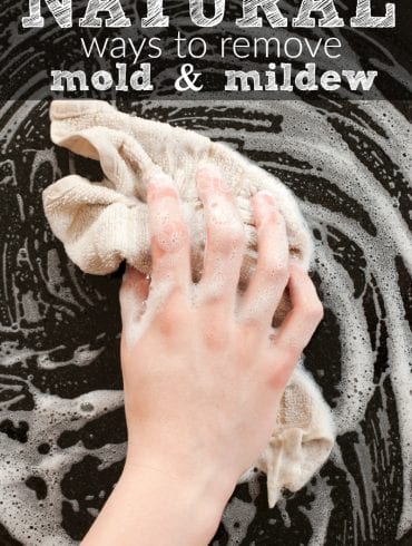 Natural Non-toxic Ways To Get Rid of Mold and Mildew