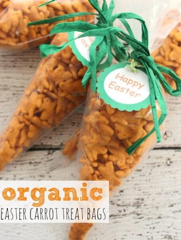 Organic Easter Carrot Treat Bags