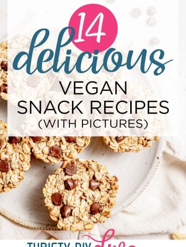 14 Delicious Vegan Snack Recipes (With Pictures!)