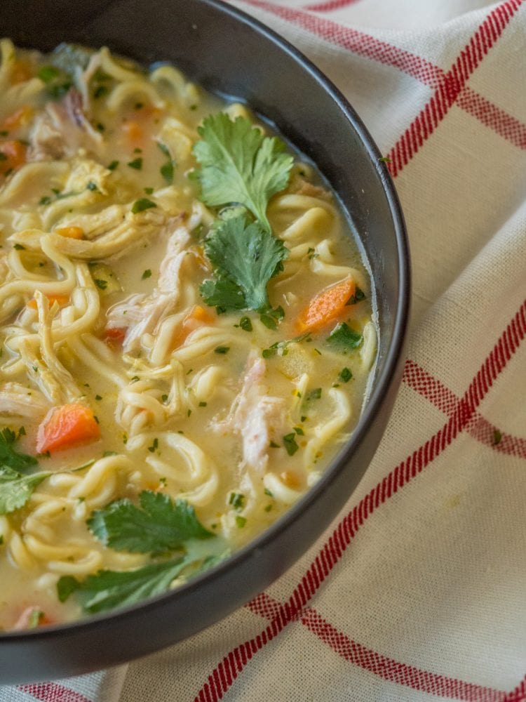 Asian Chicken Noodle Soup